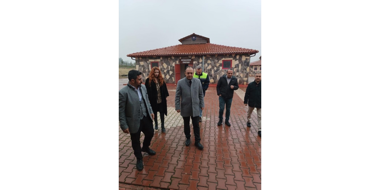 Avukatlar Hayvan Barınağında