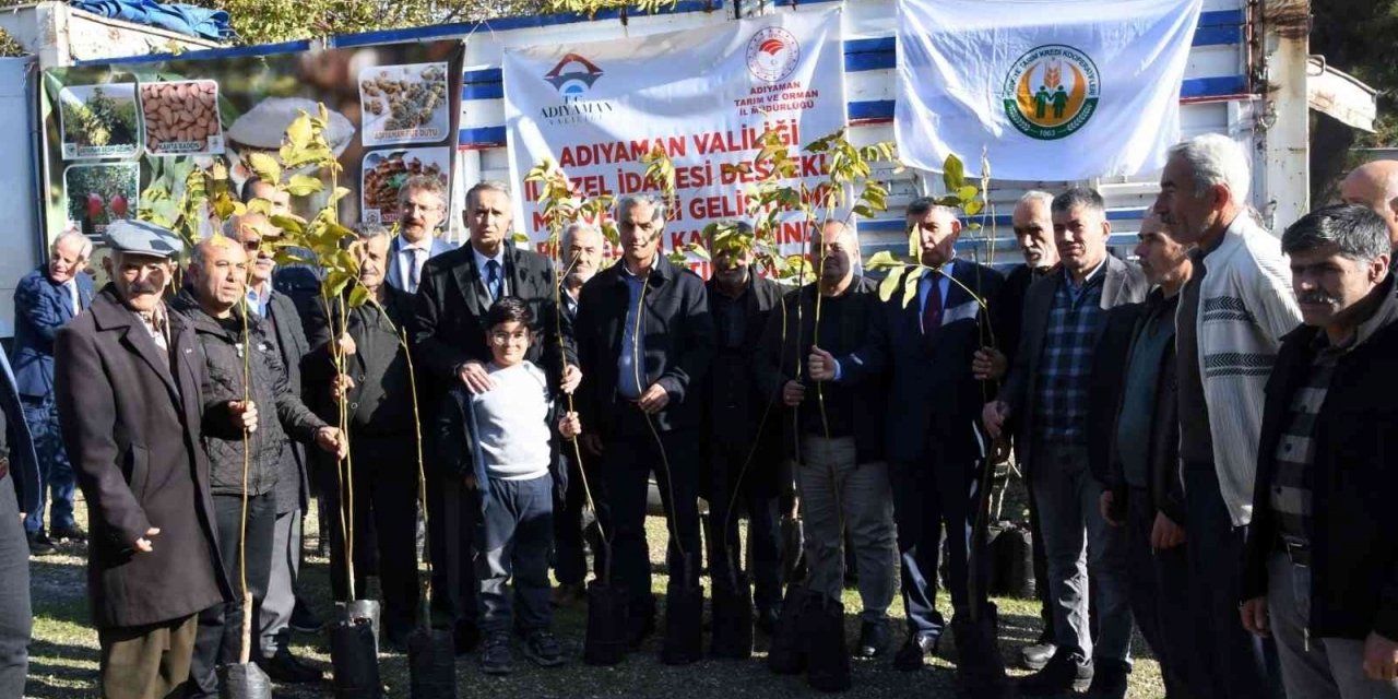 Adıyaman’da Çiftçilere 6 Bin Ceviz Fidanı Dağıtıldı