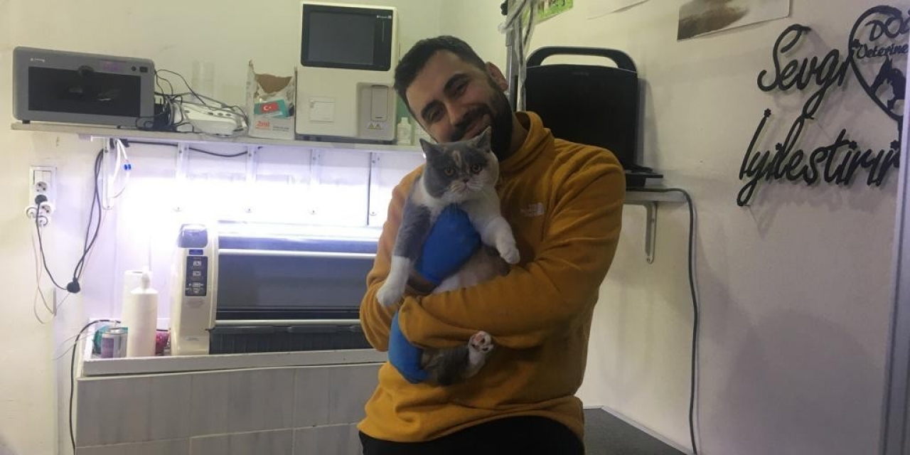 Evcil Hayvanlara Mikroçip Taktırma İçin Son Gün 31 Aralık
