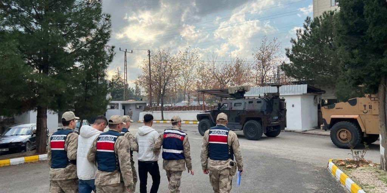 Diyarbakır’da Büyükbaş Hayvan Hırsızları Tutuklandı