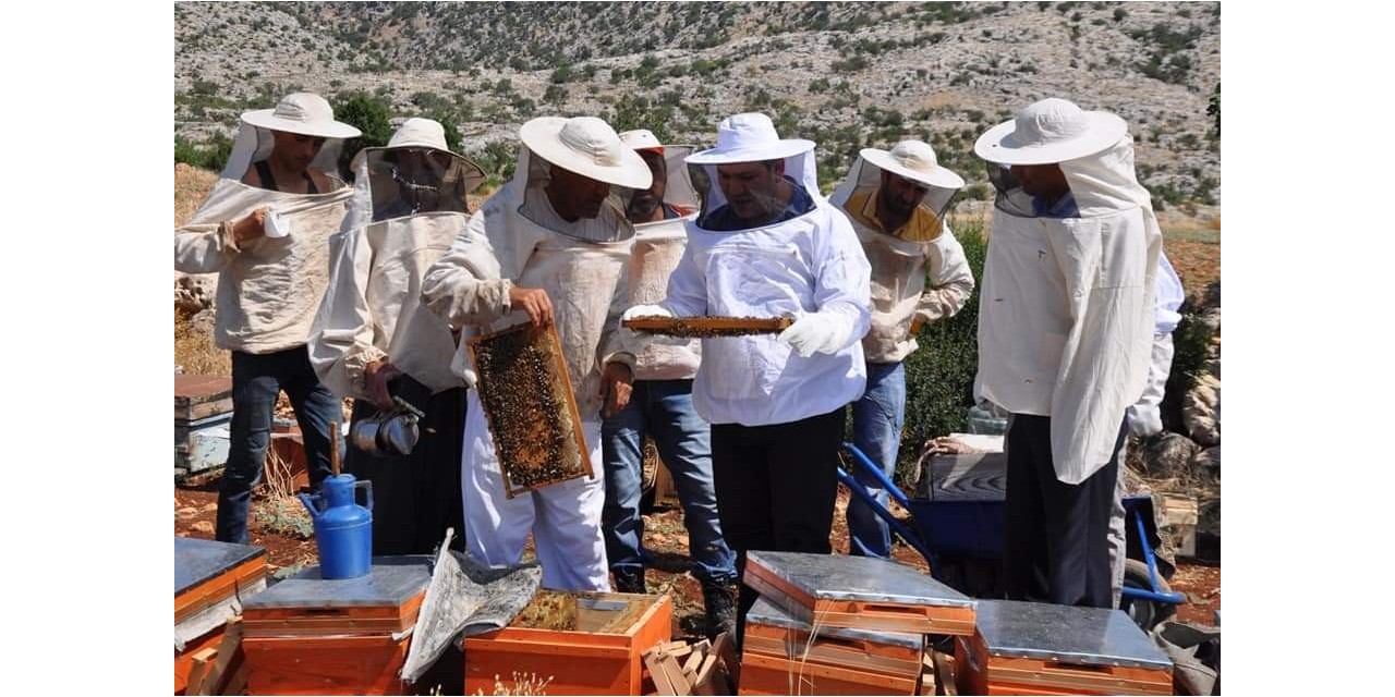 Kaymakam İmamoğlu Bal Hasadına Katıldı