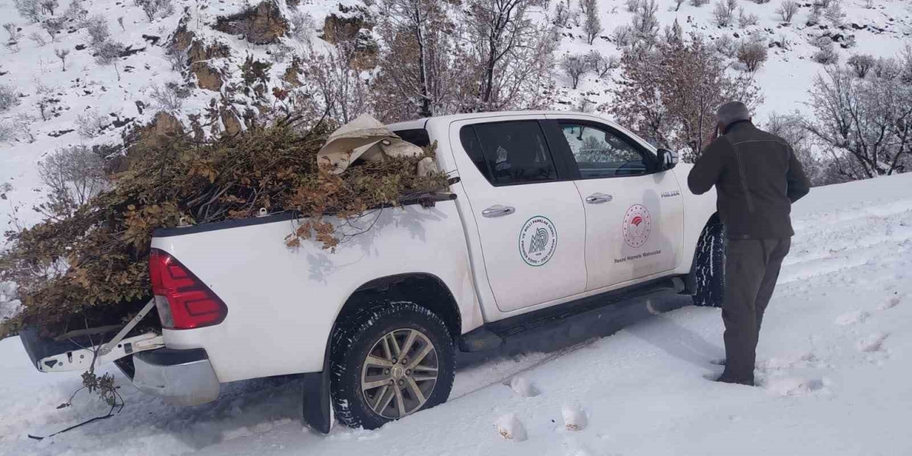 Adıyaman’da Doğaya Yem Bırakıldı