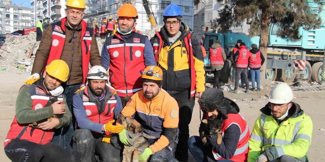 Ezan Okunurken Uluyan Köpek Ve Yavruları, Sesi Fark Eden Görevlilerce Enkazdan Kurtarıldı