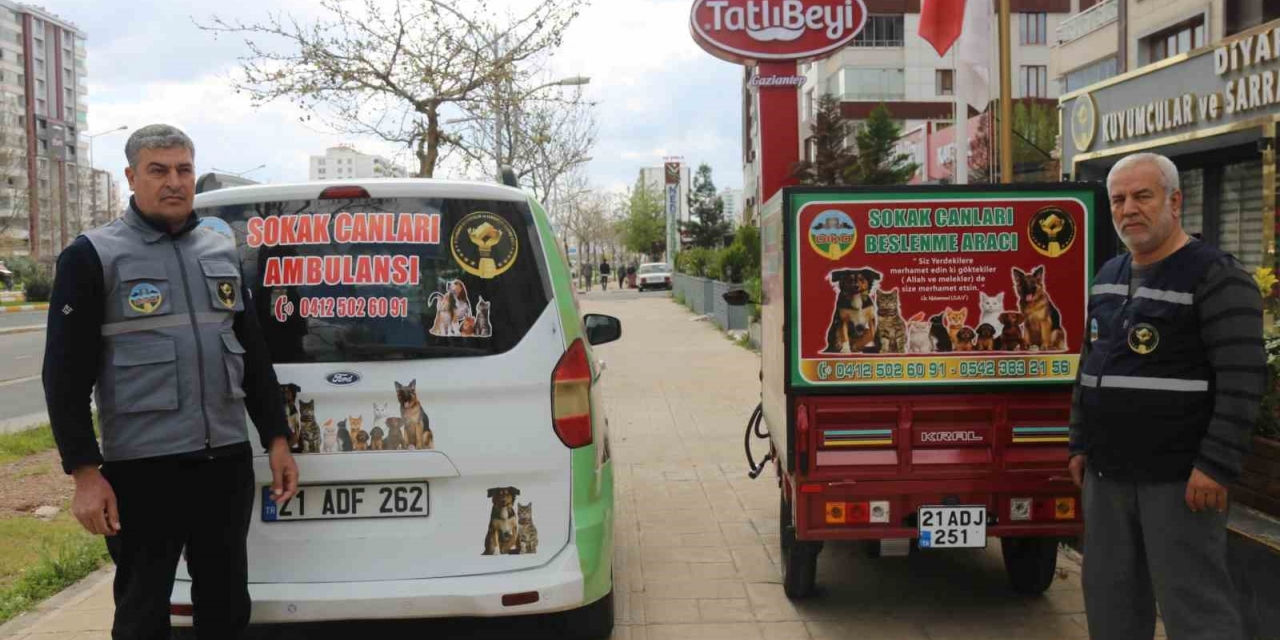 Hayvansever Oda Başkanı Sokak Canları İçin Ticari Aracı Ambulansa Çevirdi
