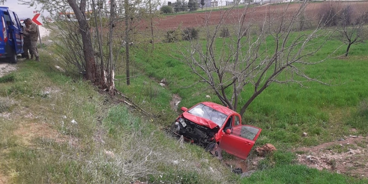 Ağaca Çarpan Otomobil Şarampole Yuvarlandı