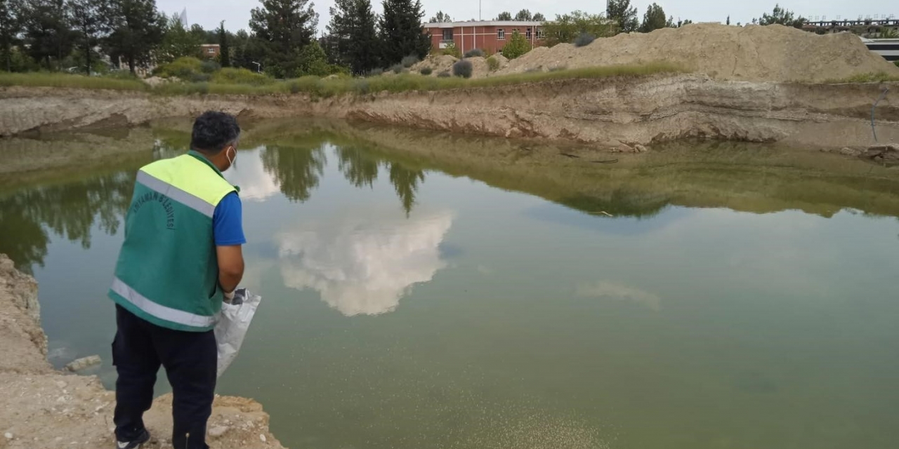 Adıyaman’da Haşarat İle Mücadelesi Devam Ediyor