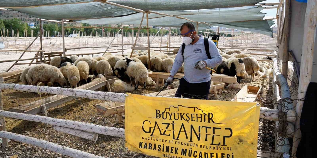 Gaziantep’te Kurban Bayramı Tedbirleri Aralıksız Devam Ediyor