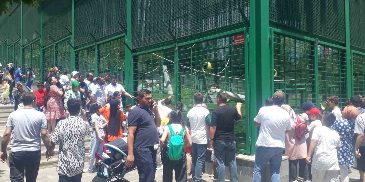 Doğal Yaşam Parkı, Bayram Tatilinde Yüz Bin Ziyaretçi Ağırladı