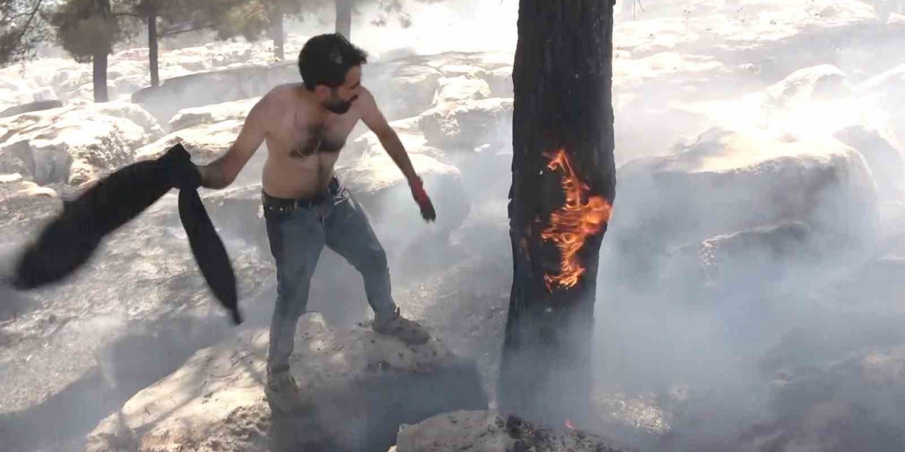 Alev Alev Yanan Ağacı Tişörtüyle Söndürdü