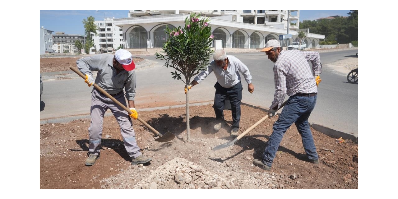 Adıyaman Belediyesi Peyzaj Çalışmalarına Devam Ediyor