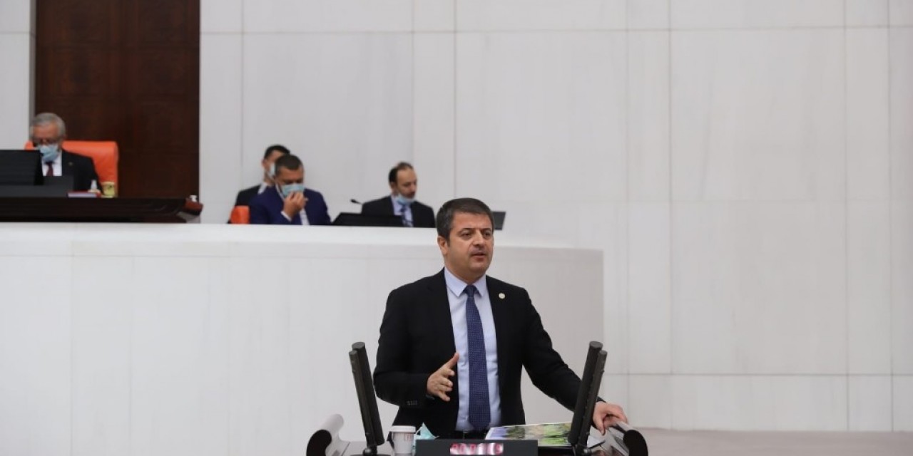 Milletvekili Tutdere’nin 1 Eylül Dünya Barış Günü Mesajı