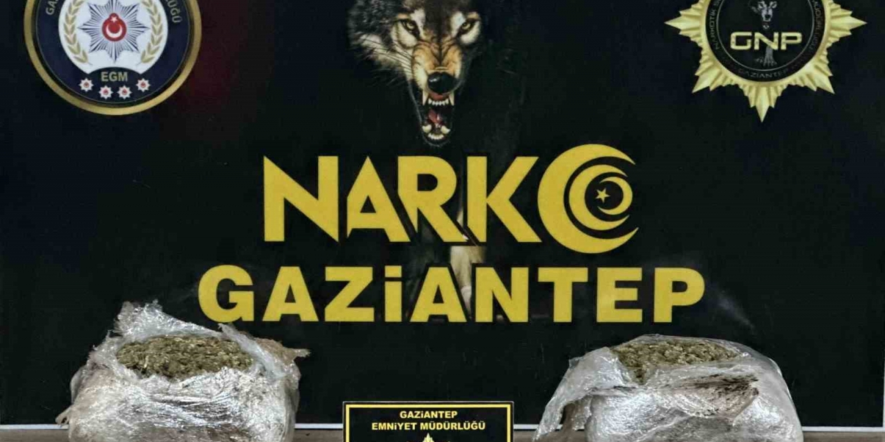 Gaziantep’te 1.5 Kilogram Skunk Ele Geçirildi