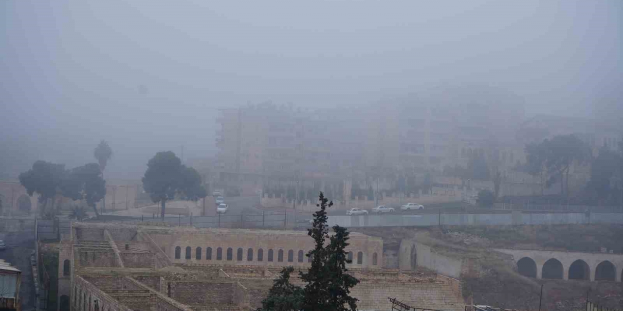Şanlıurfa’da Sis Etkili Oluyor