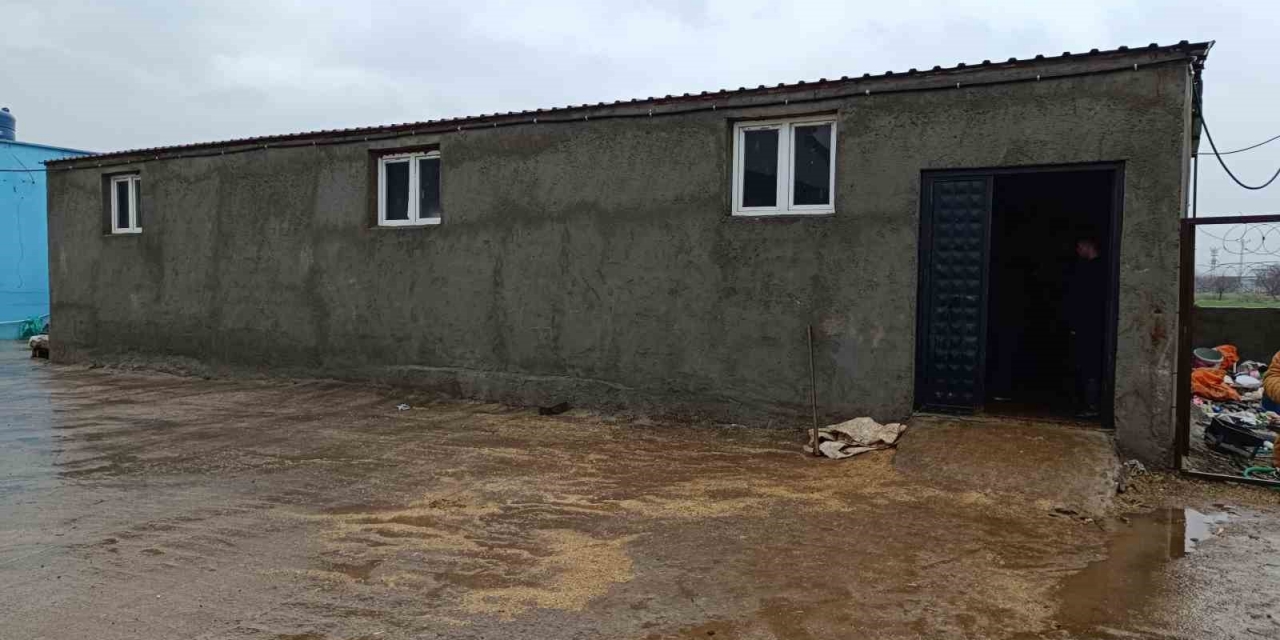 Ahıra Düşen Yıldırım 3 Büyükbaş Hayvanı Telef Etti