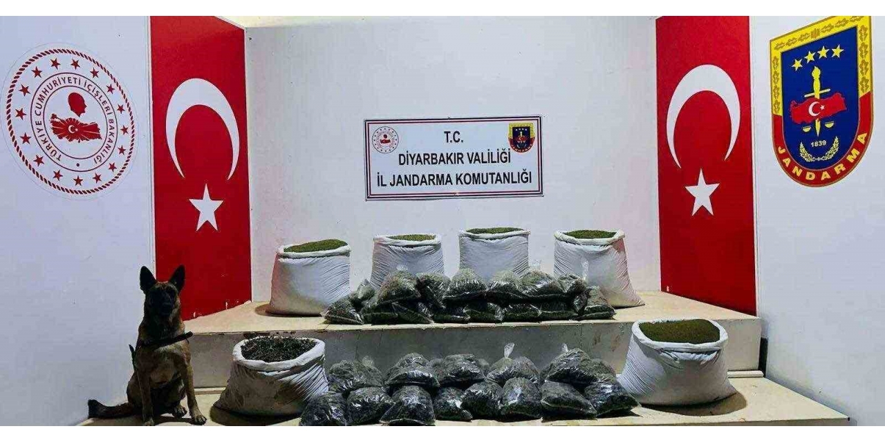 Lice’de 226 Kilo Esrar Ele Geçirildi