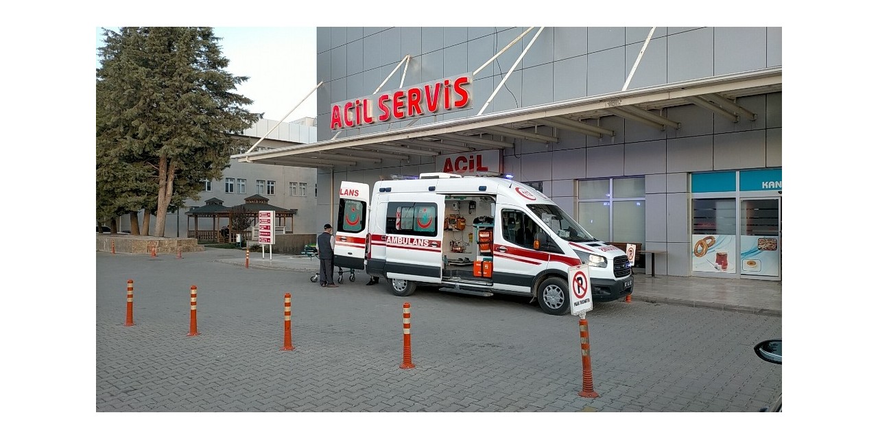 Ceviz Ağacından Düşen Şahıs Ağır Yaralandı