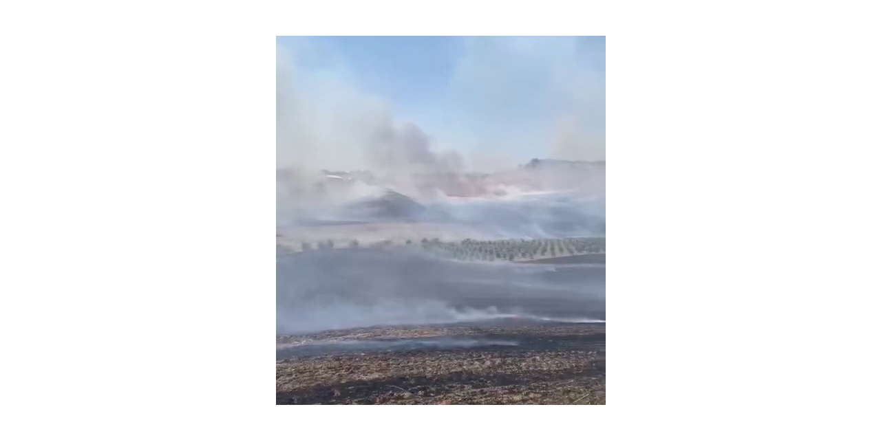 Köyde Çıkan Anız Yangını Güçlükle Söndürüldü