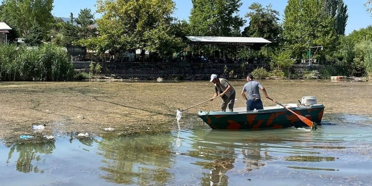 Doğa Koruma Ekipleri Çöpleri Temizliyor