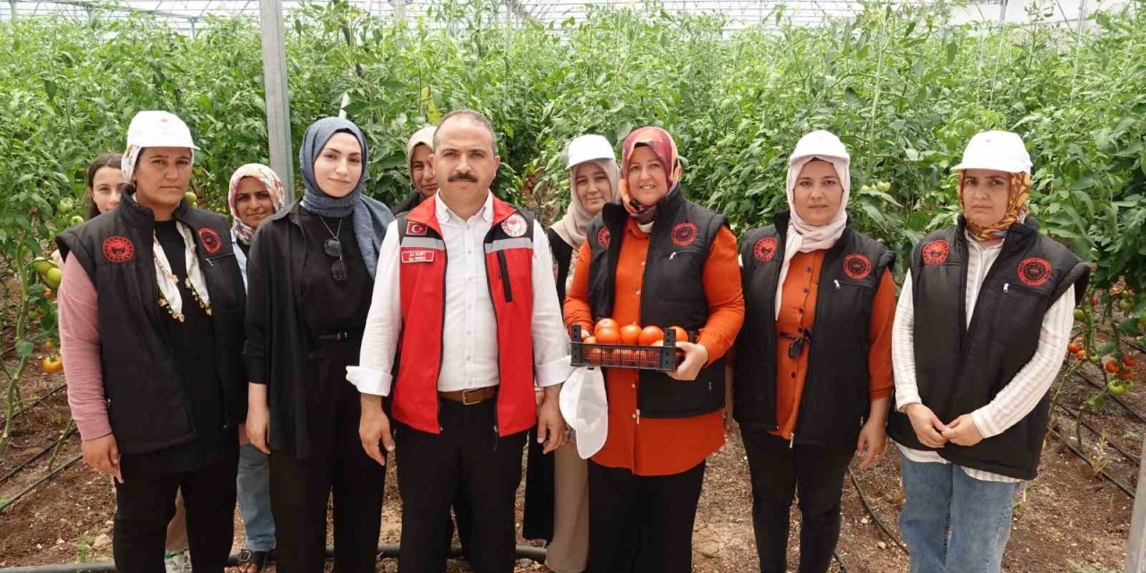 Gaziantep’te Seralara Kadın Eli Değdi