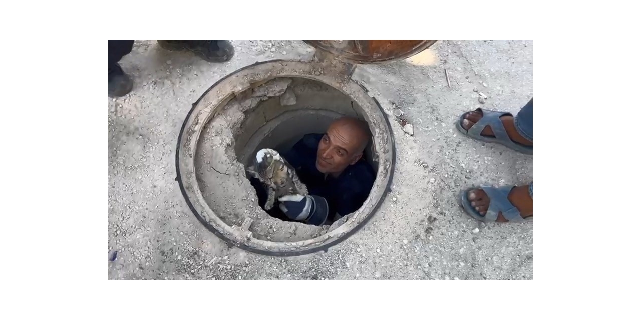 Lağım Borusuna Sıkışan Kediyi İtfaiye Ekipleri Kurtardı