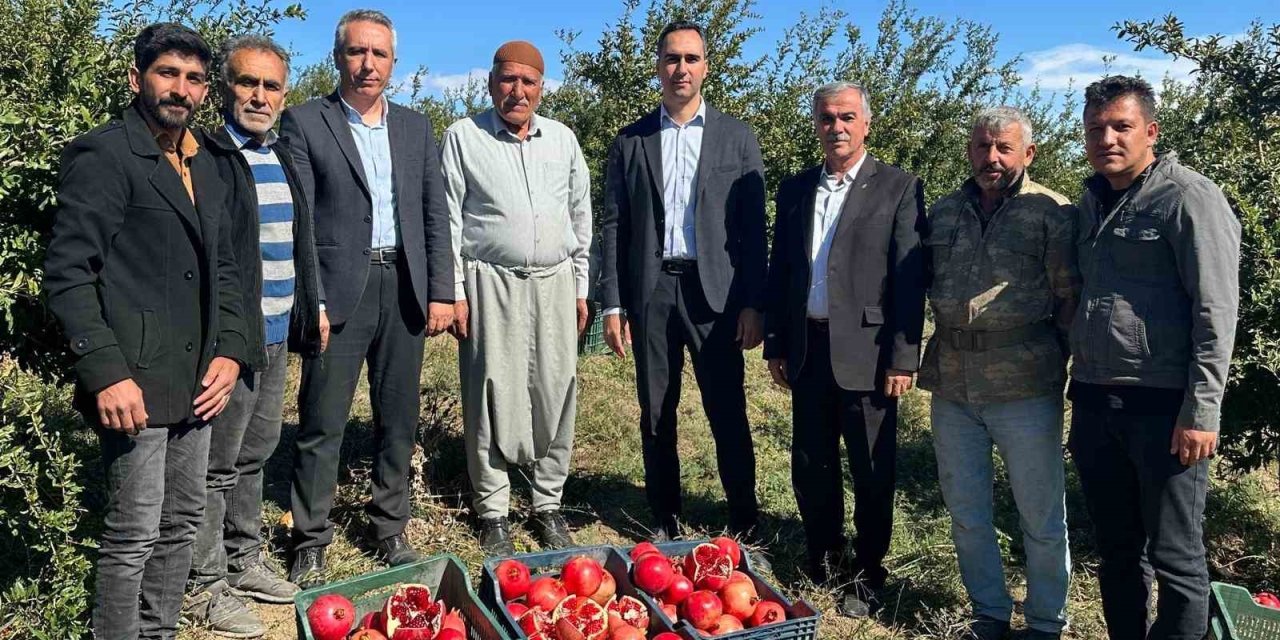 Samsat’ta Nar Hasadı Başladı