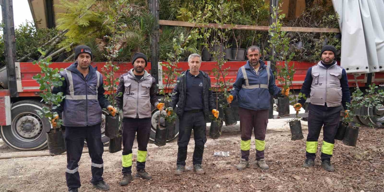 Mersin Büyükşehir Belediyesi’nden Adıyaman’a Yeşil Destek