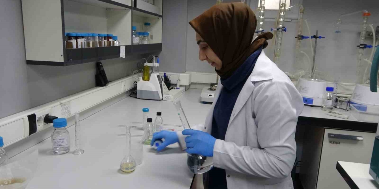 Kuru Kayısıya İhracat Öncesi Kapsamlı İnceleme