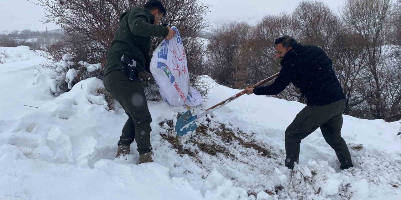 Malatya’da Yaban Hayvanları İçin Yemleme Çalışması