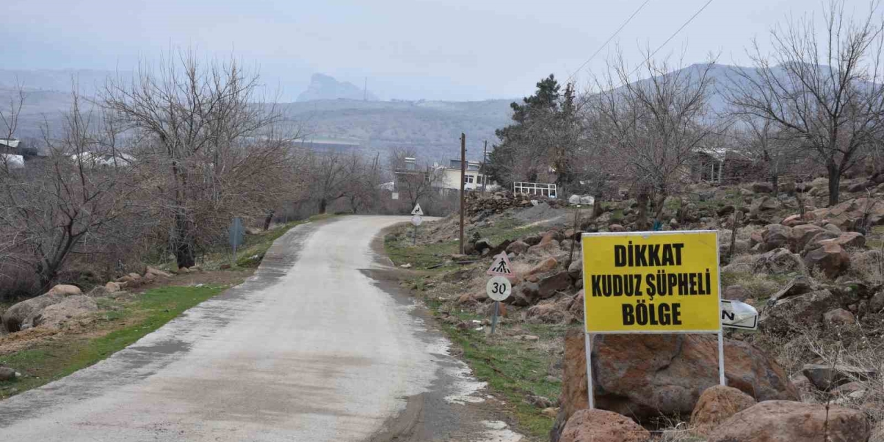 Siverek’te Kuduz Alarmı