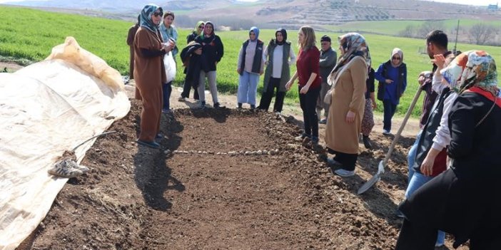 Kadın Çiftçilerle Sebze Fidesi Yetiştirme Kursu Düzenlendi