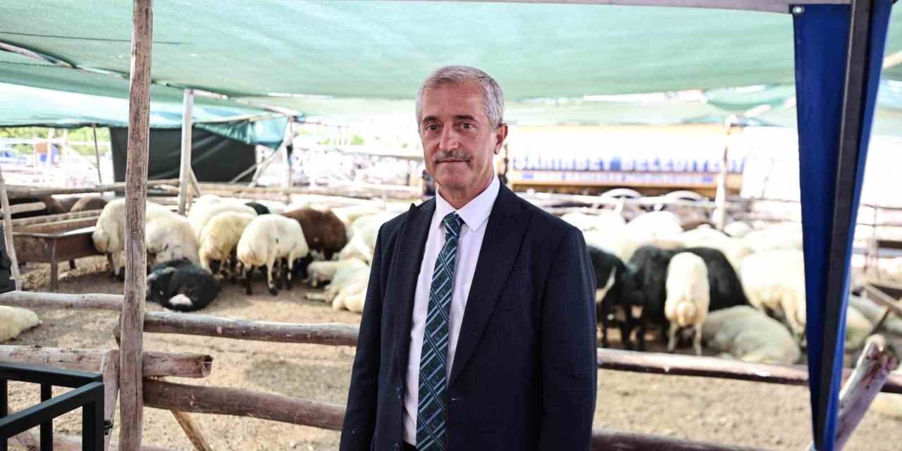 Başkan Tahmazoğlu: "kurban Bayramı’nda Fahiş Fiyat Artışlarına Asla Müsaade Etmeyeceğiz"