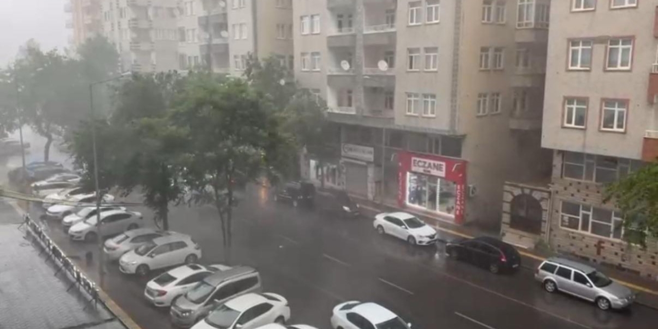 Diyarbakır’da Sağanak Etkili Oldu, Lüks Otomobil Devrilen Ağacın Altında Kaldı