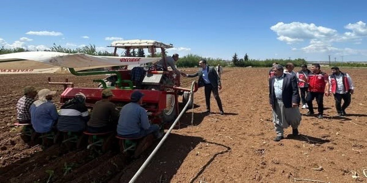Samsat’ta Tütün Ekimi Başladı
