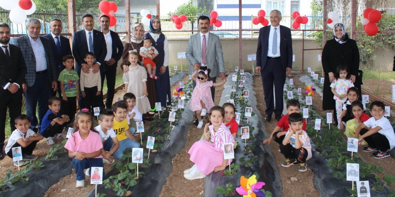 Kahta’da Miniklerden Çilek Hasadı