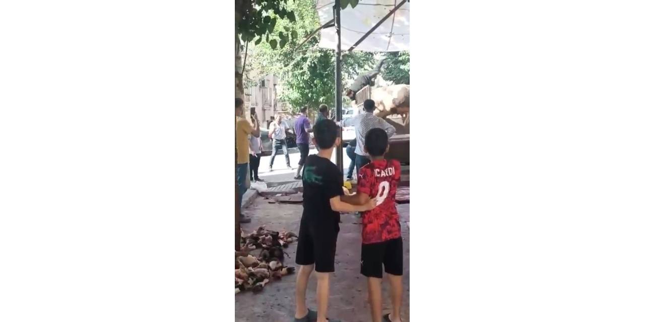 Kızgın Boğa Kasaba Hayatının Kabusunu Yaşattı