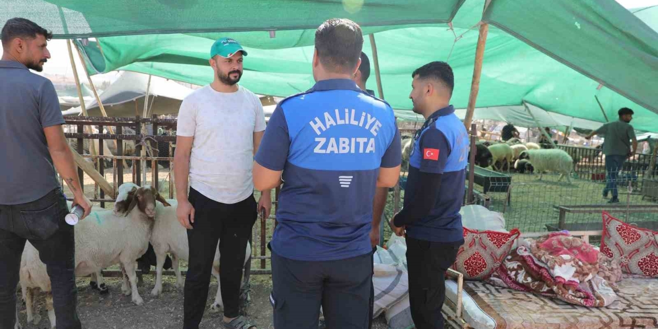 Haliliye Belediyesi 662 Personeliyle Sahada