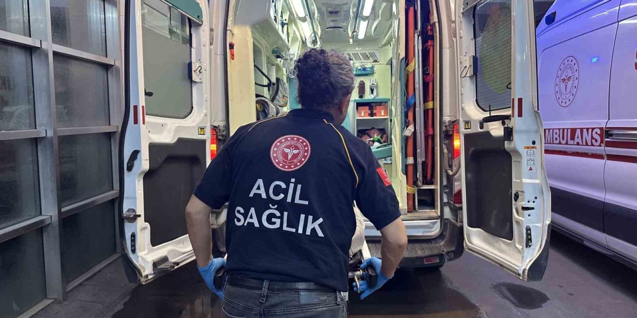 Yılanın Isırdığı Kişi Hastaneye Kaldırıldı
