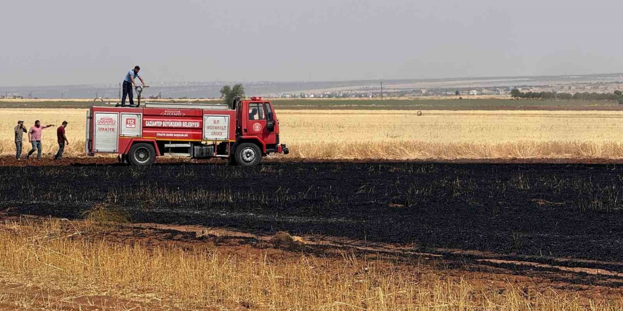 Araban Ovası’nda 15 Dönüm Buğday Ekili Alan Daha Yandı