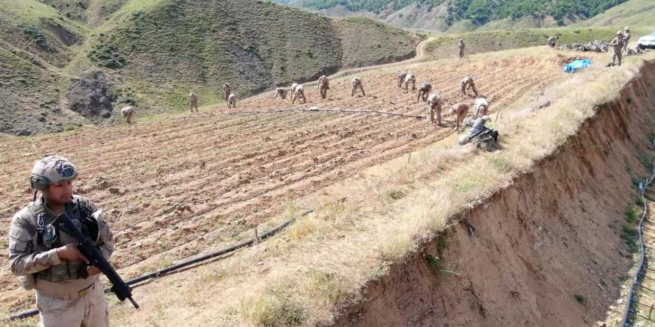 Diyarbakır’da Yaklaşık 160 Milyar 650 Milyon Tl Olan 319 Tonluk Uyuşturucu Maddenin Topluma Sunulmasının Önüne Geçildi
