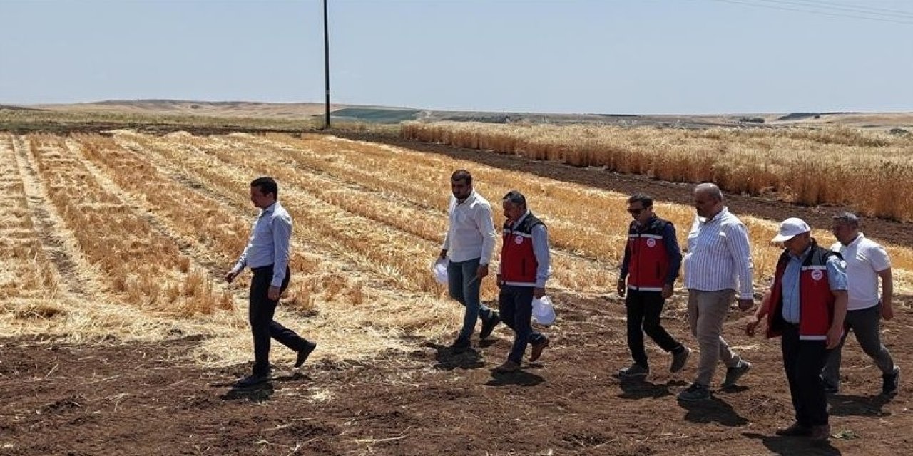 Adıyaman’da Tohumculuk Sektörü Güçleniyor