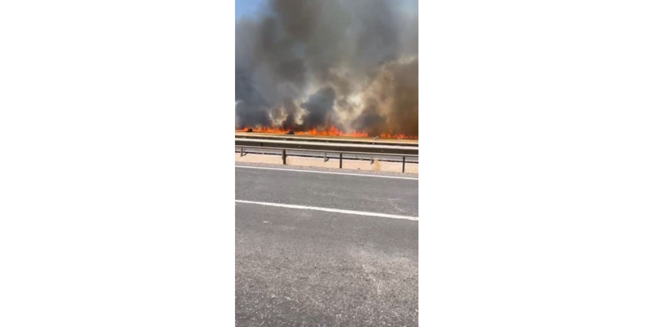 Şanlıurfa’da 100 Dönümlük Buğday Tarlası Küle Döndü