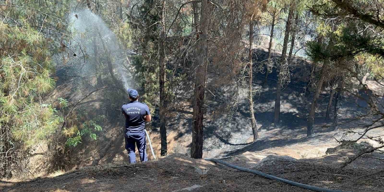 Çocukların Çakmakla Oyunu Ormanı Yaktı