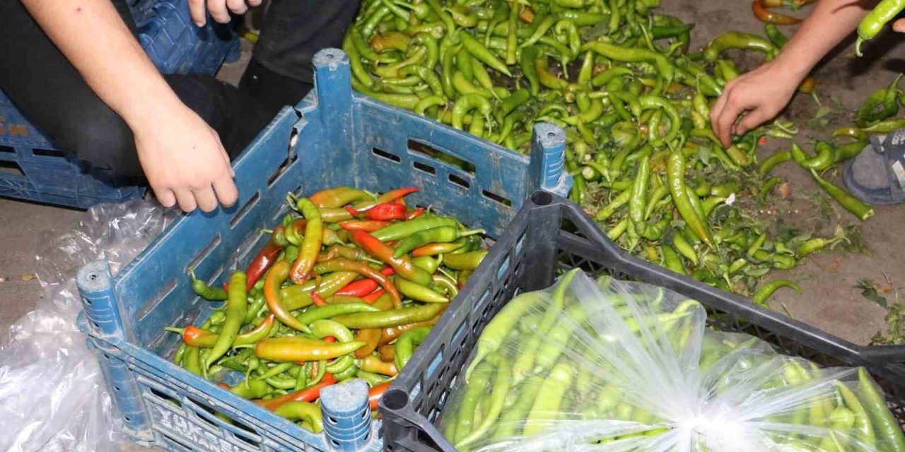 Diyarbakır’da Sıcak Hava Sebze Ve Meyveleri Etkiledi