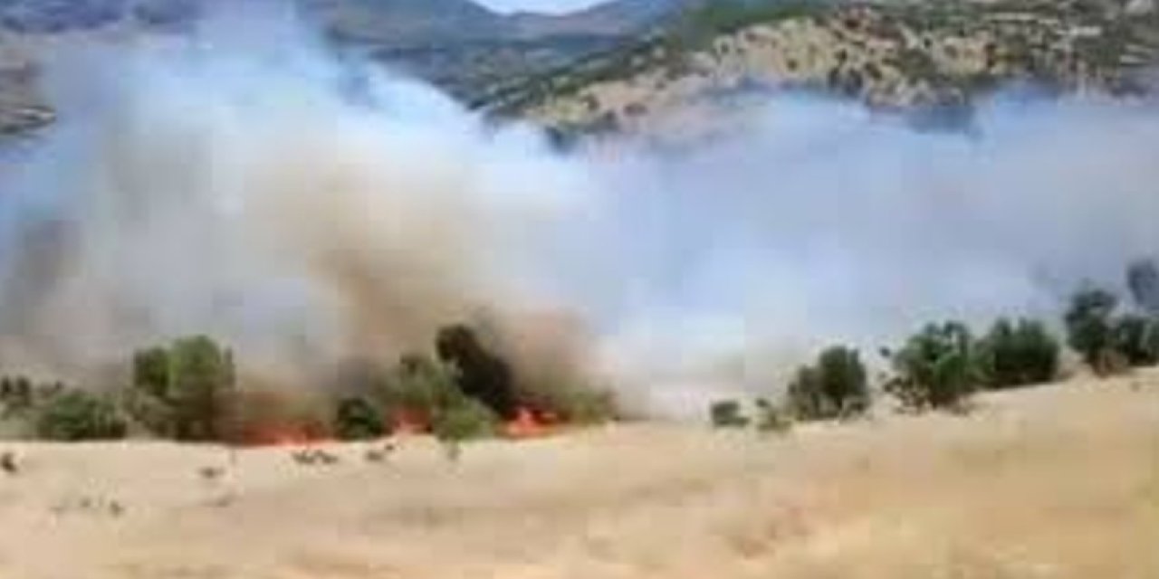 Gerger’de Korkutan Orman Yangını