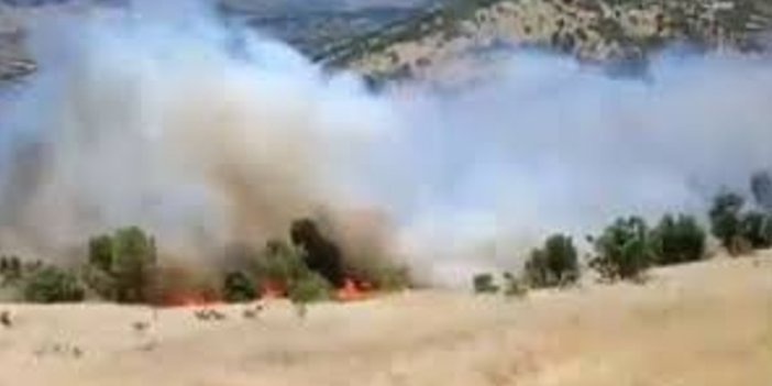 Gerger’de Korkutan Orman Yangını