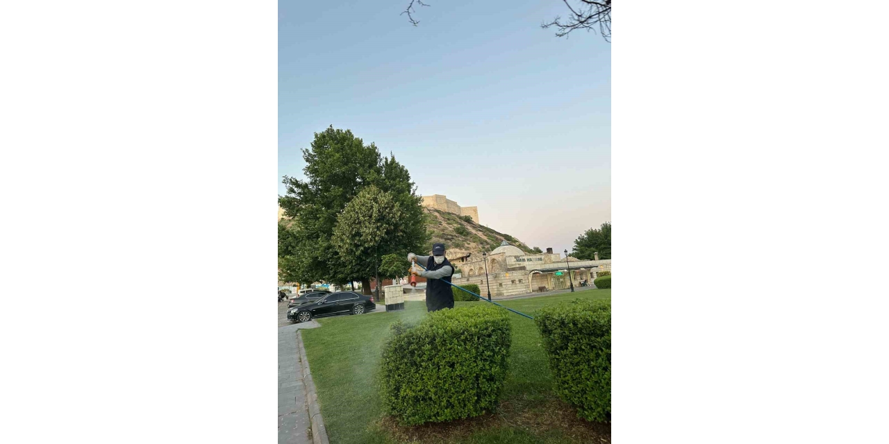 Gaziantep Büyükşehir’den Kene Ve Diğer Zararlılara Karşı Tedbir Amaçlı İlaçlama