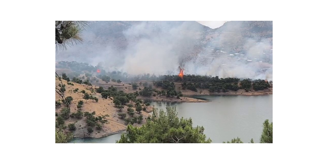 Adıyaman’da Ormanlık Alanda Yangın