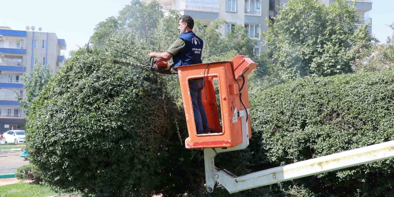 Parklarda Yenileme Ve Güzelleştirme Çalışması