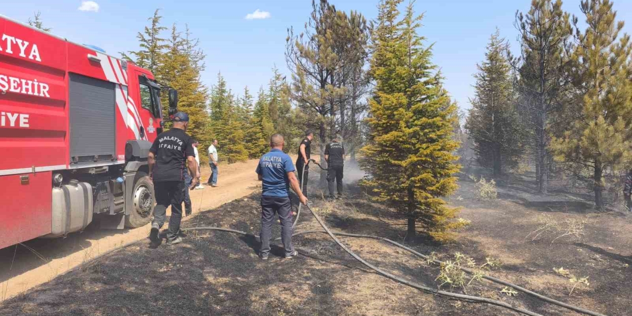 Malatya’daki Orman Yangını Söndürüldü