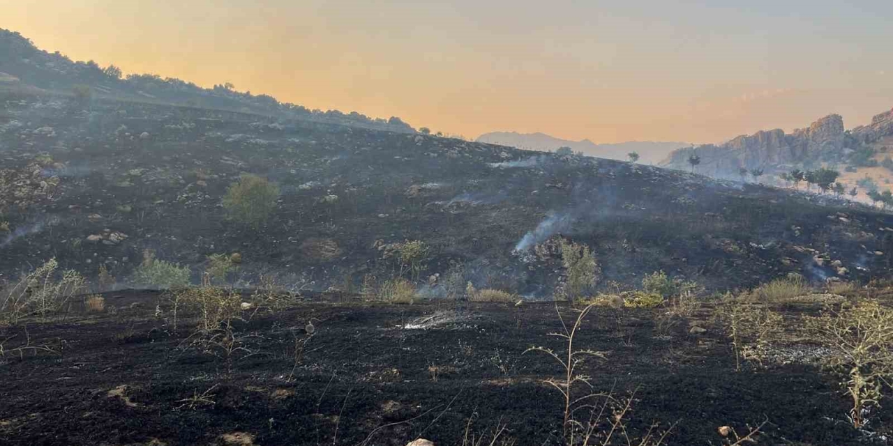 Diyarbakır’da Merada Başlayan Yangın Ormanlık Alana Yayıldı